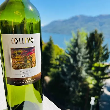 Sunny-modern View Relax * Brissago